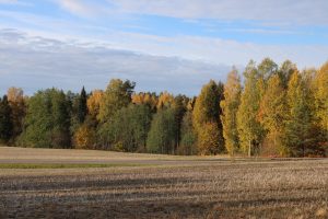 syksy